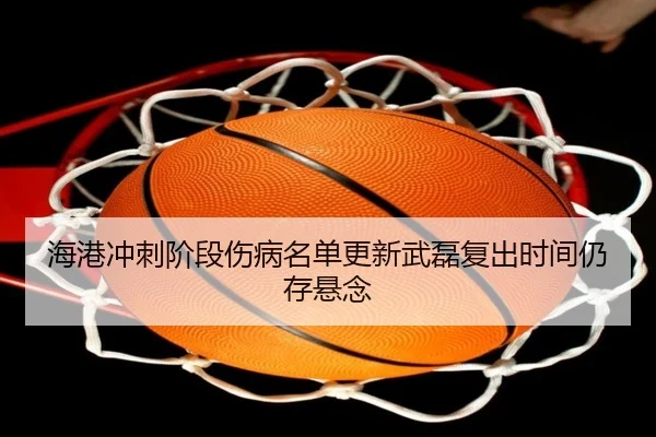 海港冲刺阶段伤病名单更新武磊复出时间仍存悬念